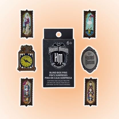 Haunted Mansion Portrait Mystery Box Pin